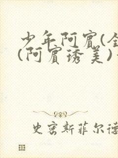 少年阿宾(全)(阿宾琇美)番外+大结局小说