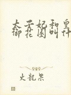 太子妃和皇帝在御花园叫什么小说