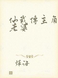 仙武传主角几个老婆封面