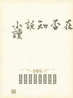 小说知否在线阅读封面
