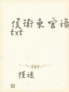 侯卫东官场笔记txt