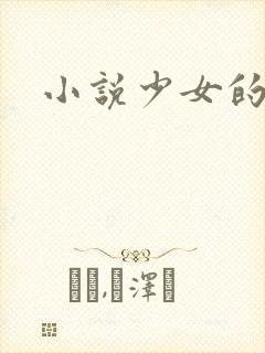 小说少女的心封面