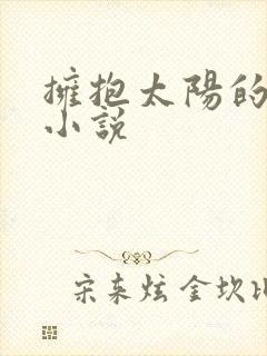 拥抱太阳的月亮小说
