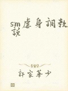 sm虐身调教小说
