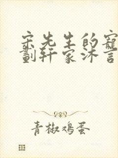 宋先生的宠妻计划轩家沐言