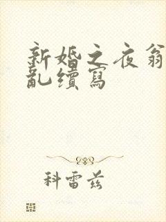 新婚之夜翁莹情乱续写
