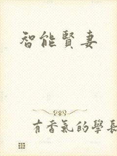 智能贤妻封面