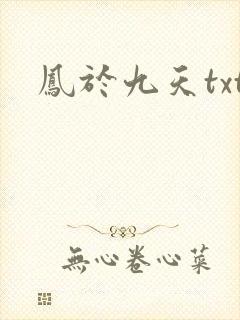 凤于九天txt