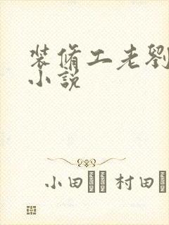装修工老刘林雪小说