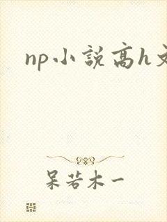 np小说高h文