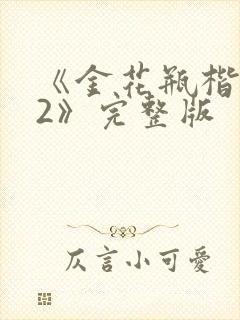 《金花瓶楷梅花2》完整版封面