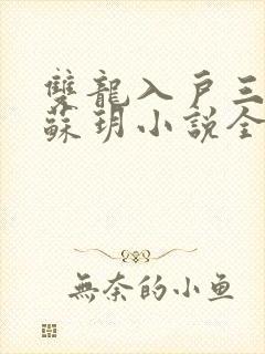 双龙入户三人行苏玥小说全文阅读