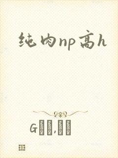 纯肉np高h