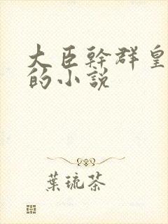 大臣干群皇太后的小说