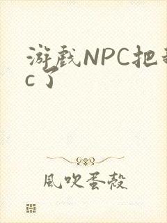 游戏NPC把我c了