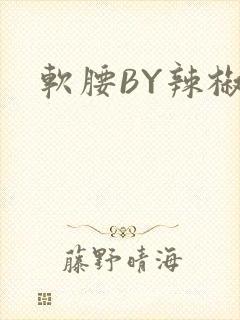软腰BY辣椒椒封面