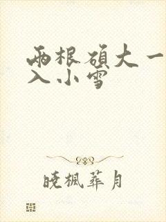 两根硕大一起挤入小雪