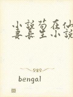 小说苟在仙武娶妻长生小说