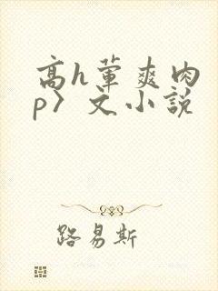 高h荤爽肉〈np〉文小说
