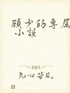 顾少的专属娇妻 小说