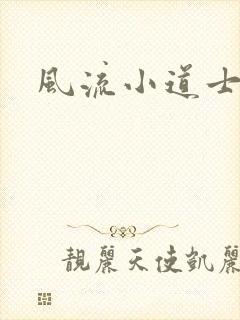 风流小道士