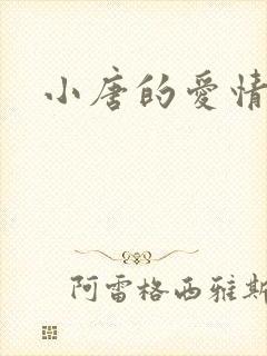 小唐的爱情史封面