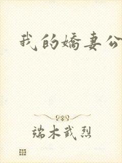 我的娇妻公务员