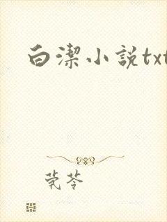 白洁小说txt