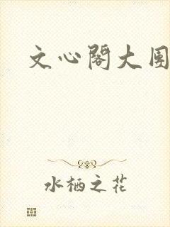 文心阁大团结封面