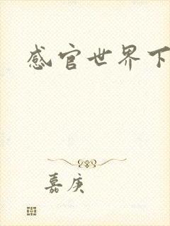 感官世界下载封面