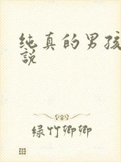纯真的男孩子小说