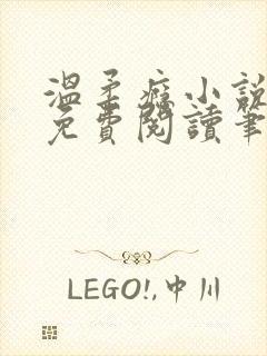 温柔瘾小说全文免费阅读笔趣阁