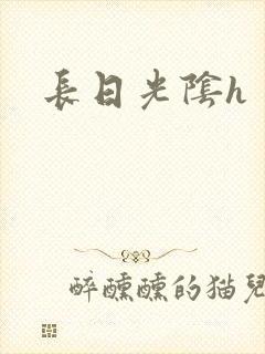长日光阴h