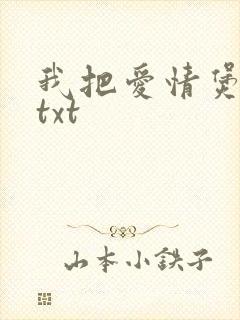 我把爱情煲成汤txt
