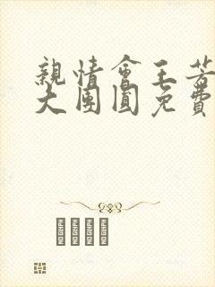 亲情会王芳高敏大团圆免费阅读