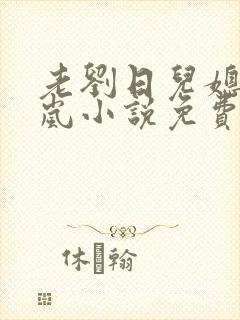 老刘日儿媳妇张岚小说免费阅读