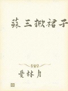 苏三掀裙子封面