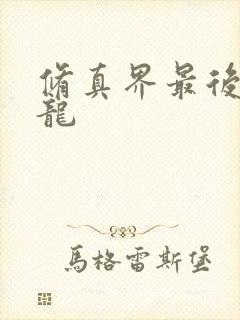 修真界最后一条龙
