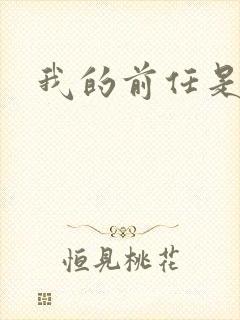 我的前任是极品