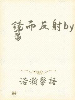 镜面反射by九葛