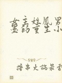 女主姓凤男主姓墨的重生小说