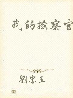 我的检察官先生