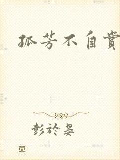 孤芳不自赏小说封面
