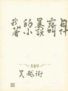 我的暴露日记原著小说叫什么