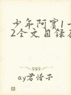 少年阿宾1一72全文目录在线