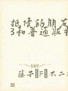 抵债的朋友麦子3和普通版对比