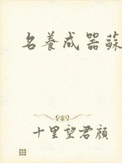 名养成器苏沫沫