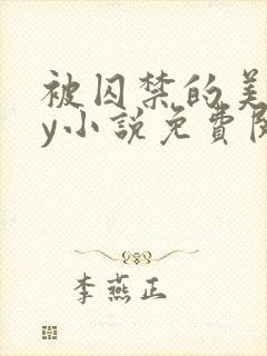 被囚禁的美人by小说免费阅读封面