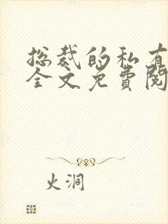 总裁的私有宝贝全文免费阅读