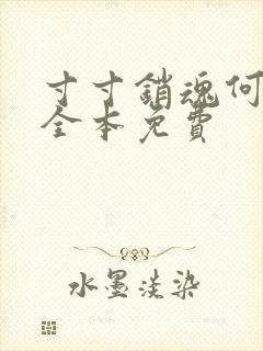 寸寸销魂何生祥全本免费